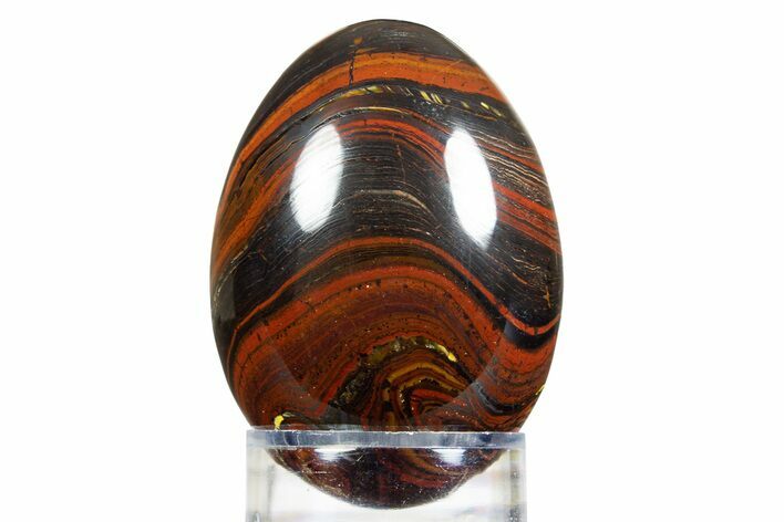 Polished Tiger Iron Stromatolite Egg - Billion Years #308845